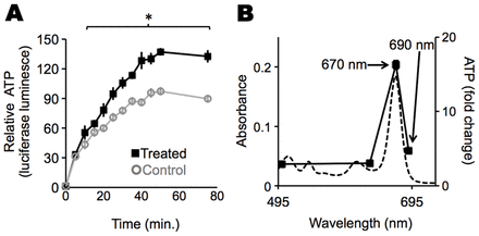 Fig. 3.