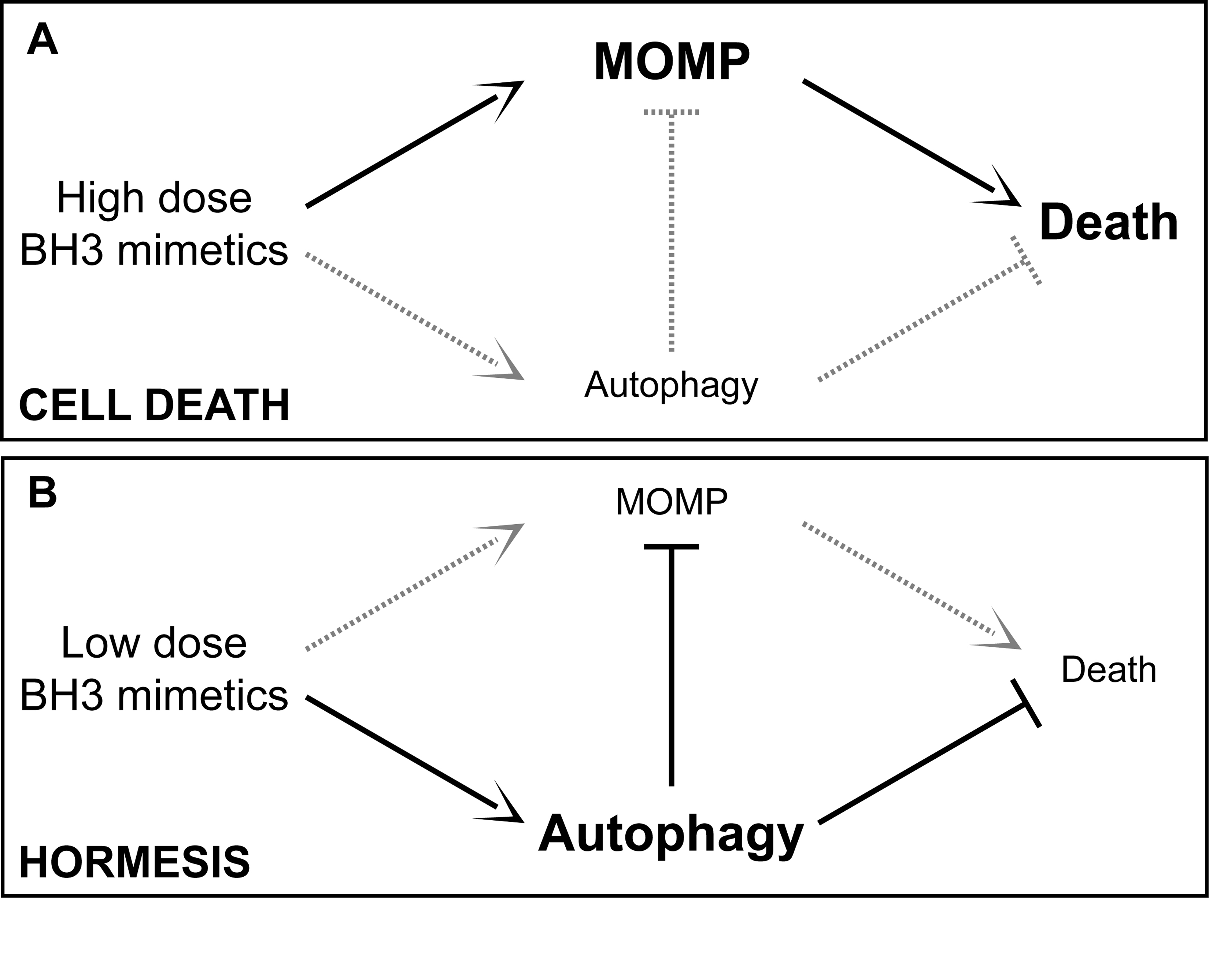 hormesis- 2