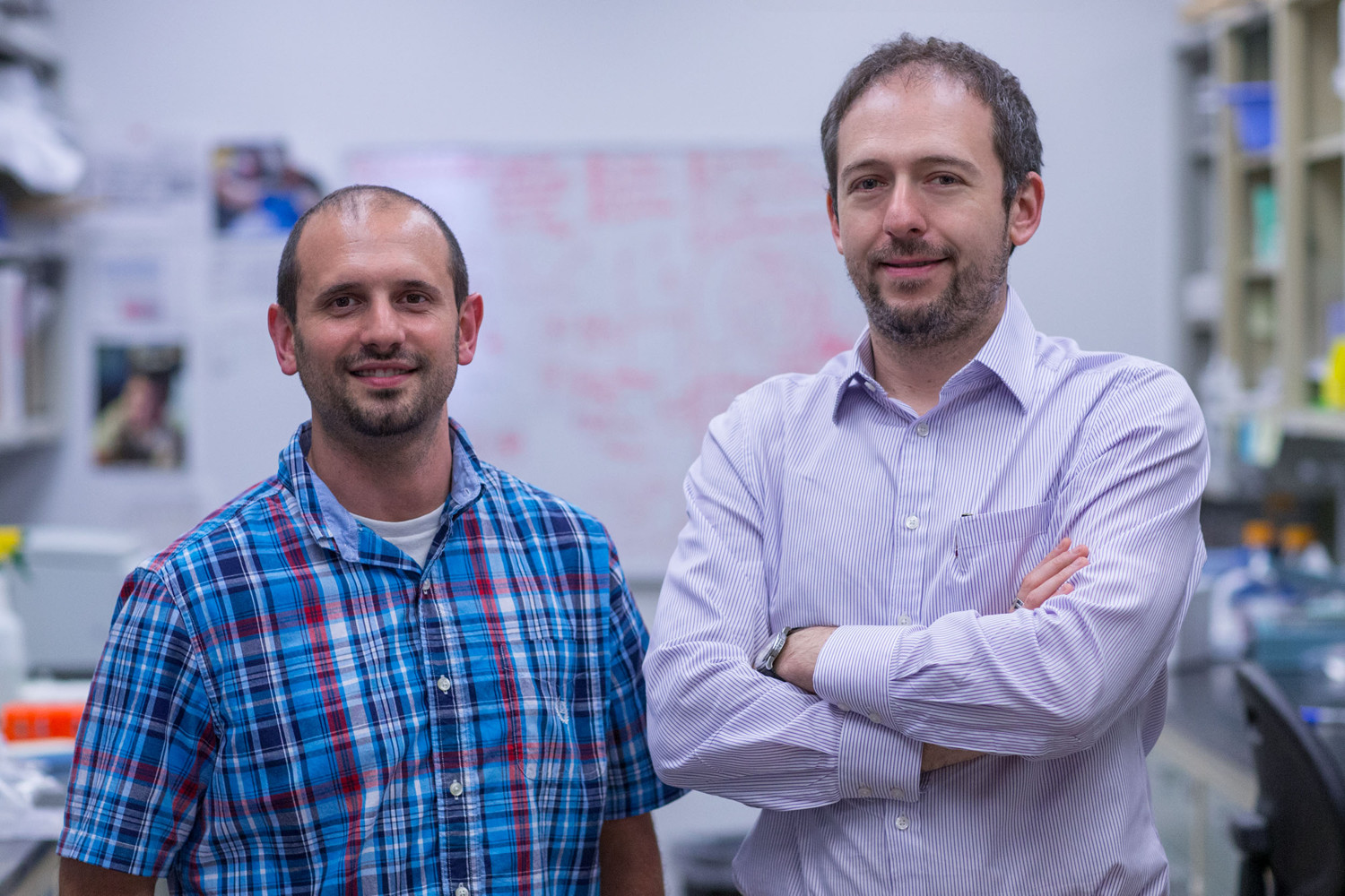 Postdoctoral researcher Anthony J. Filiano, left, and Jonathan Kipnis, chairman of UVA’s Department of Neuroscience.